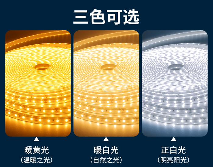 700x550燈帶詳情.jpg